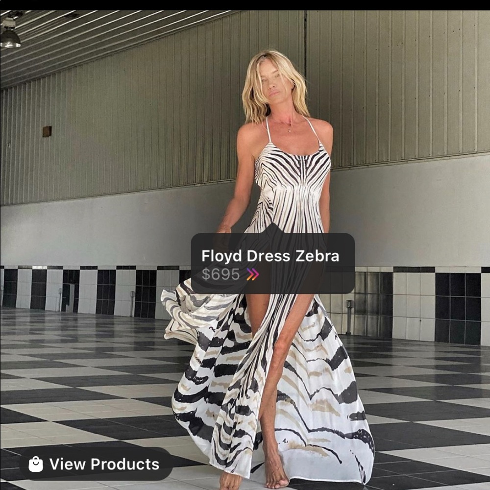 Ramona la rue zebra dress